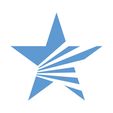 Lone Star Pro Services logo