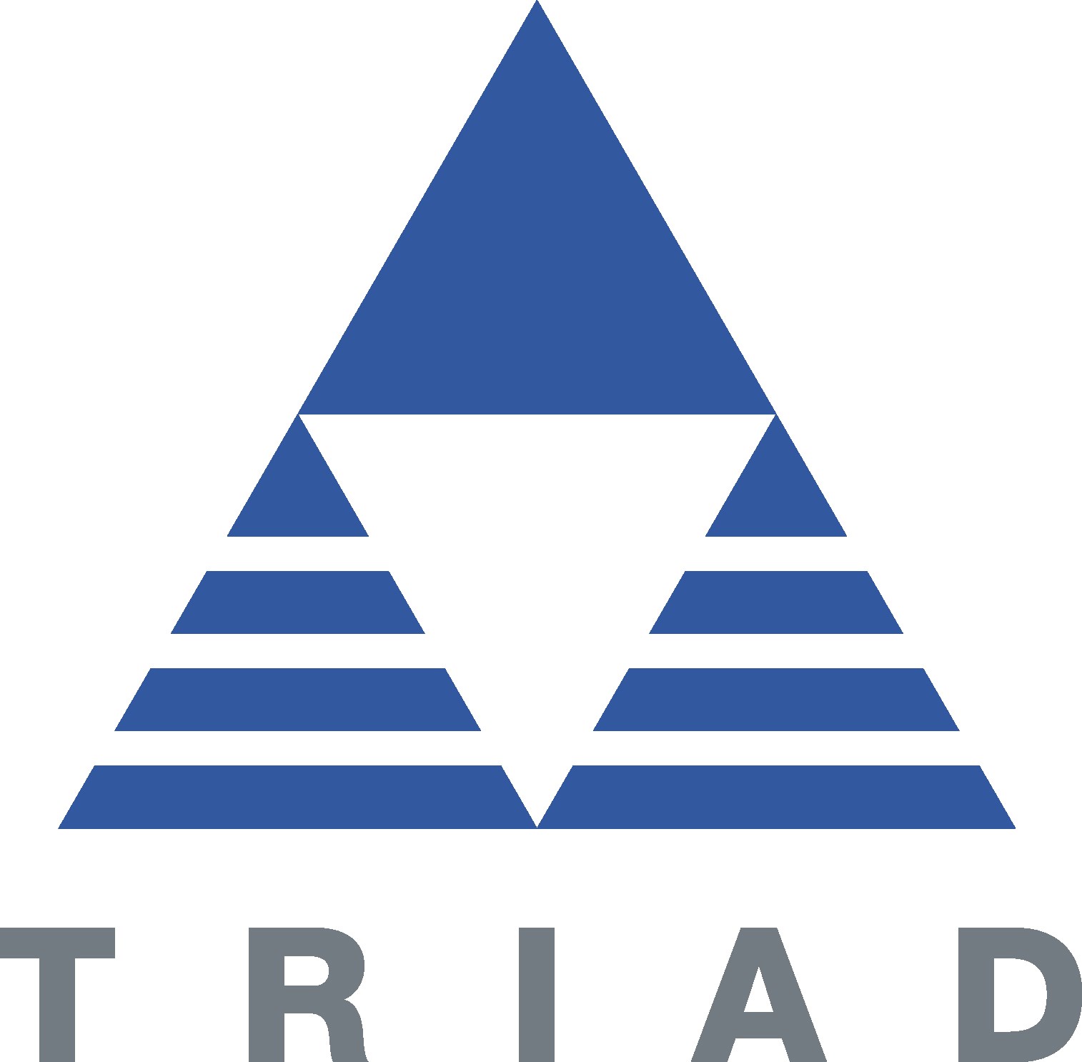 Logo for The Thoughtful Home