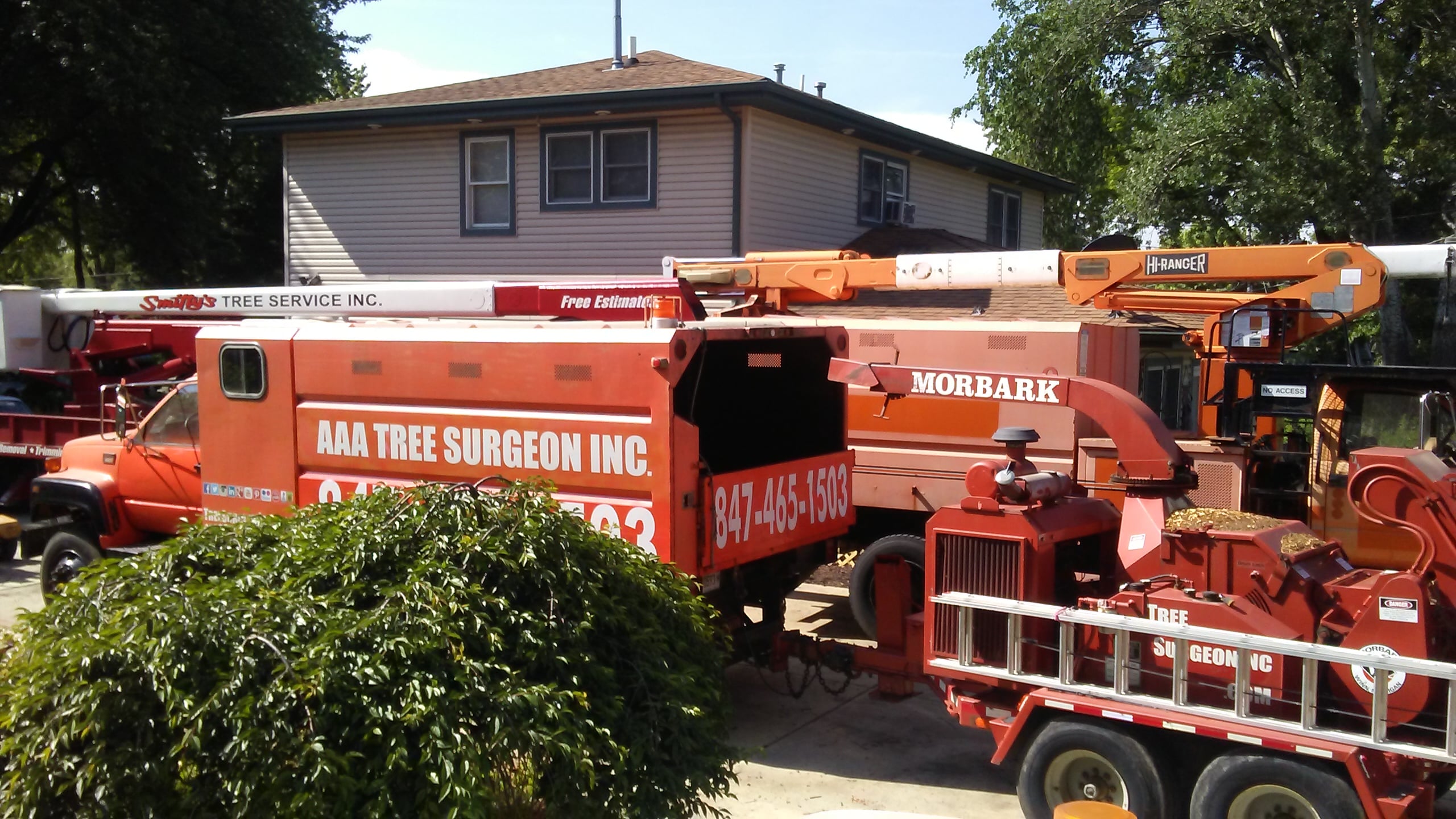 Avatar for AAA Tree Surgeon Inc