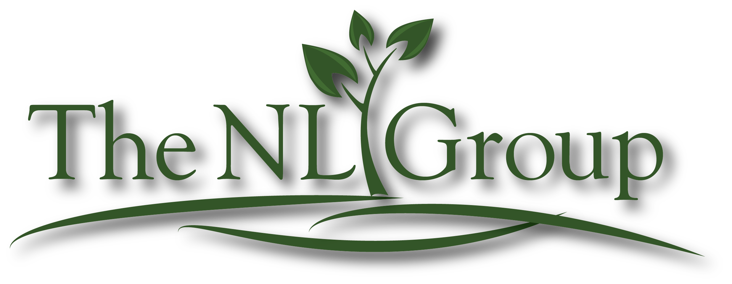 Avatar for The NL Group