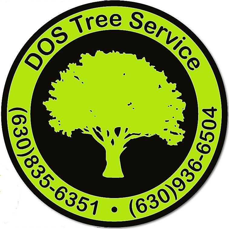 Avatar for Dos Tree Service
