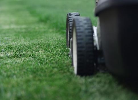 Tracy's Lawn Care And Tree Service logo