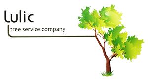 Logo for Lulic Tree Service Co