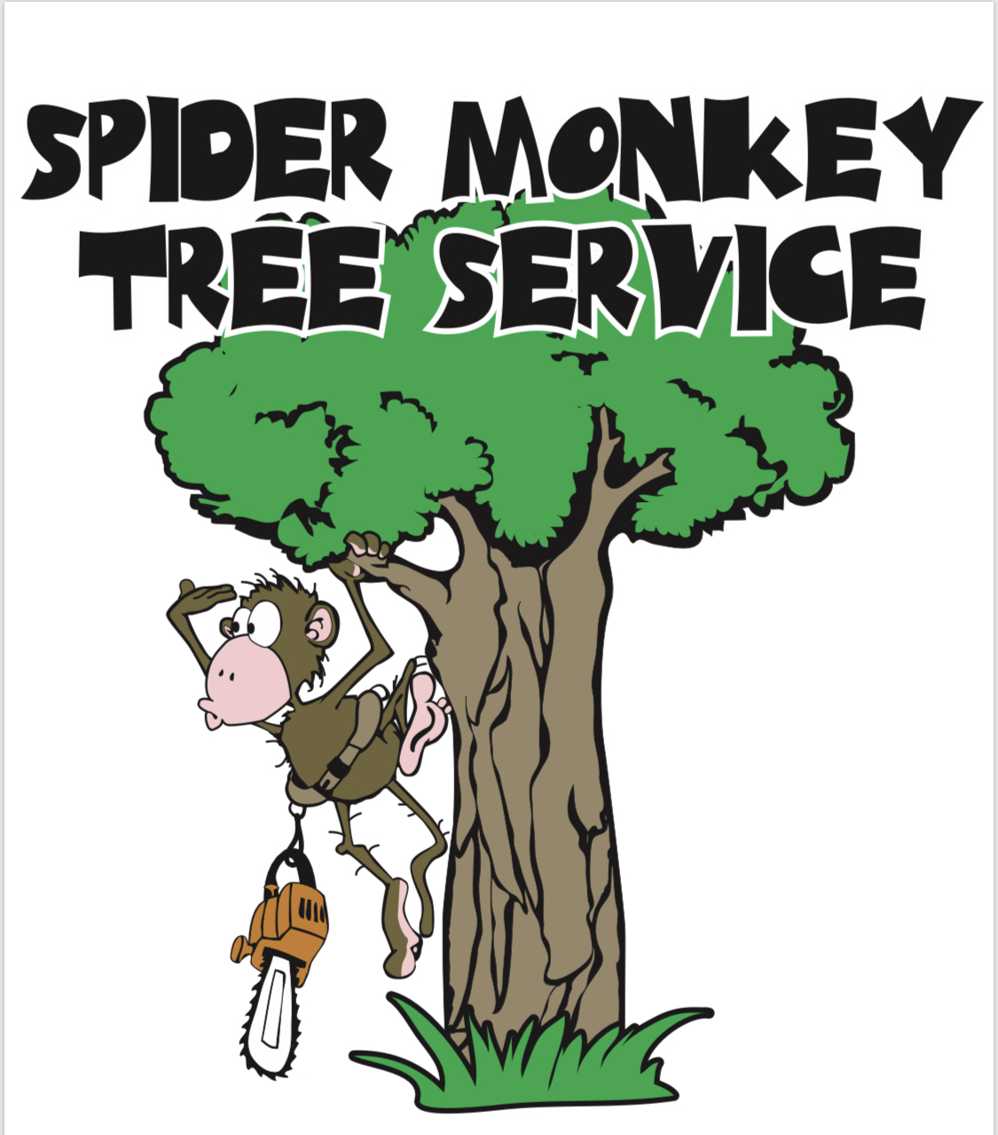 Avatar for Spider Monkey Tree Service