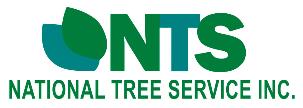 Logo for National Tree Service