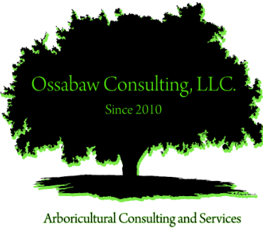 Ossabaw Consulting, LLC logo