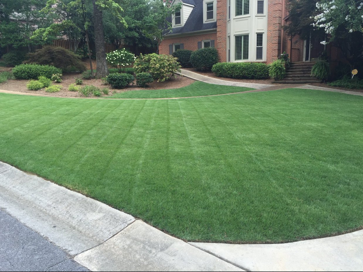 Sharper Image Landscaping LLC logo