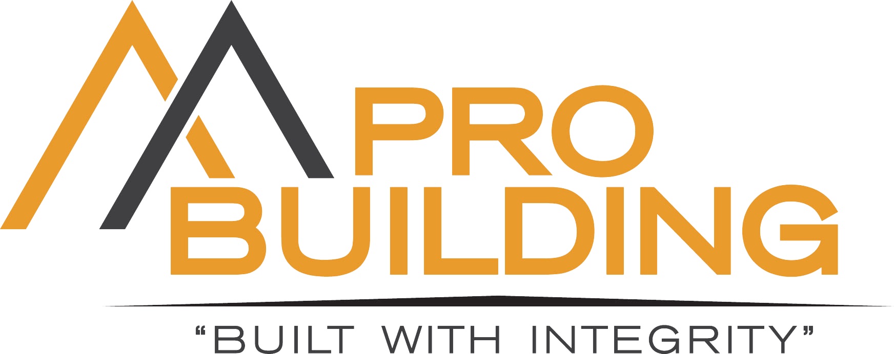 Pro Building LLC logo