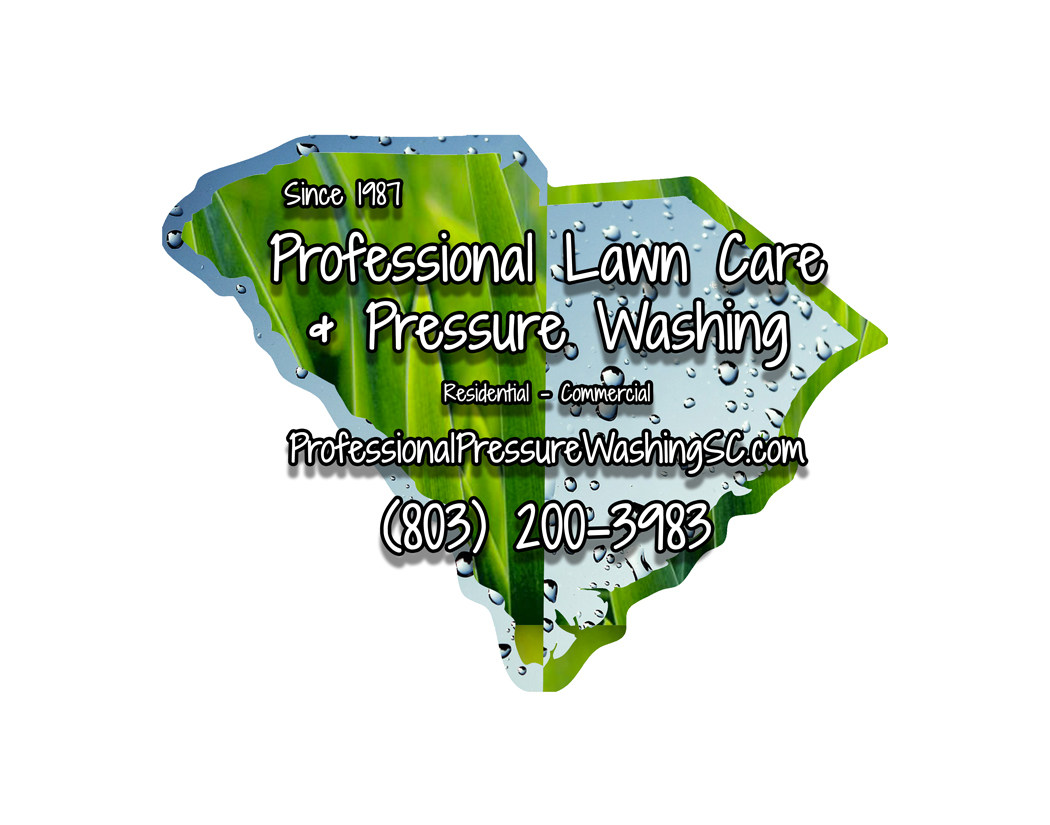 Logo for Professional Power Washing