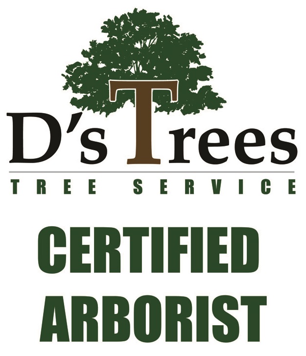 D's Trees logo