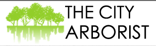 The City Arborist, LLC logo