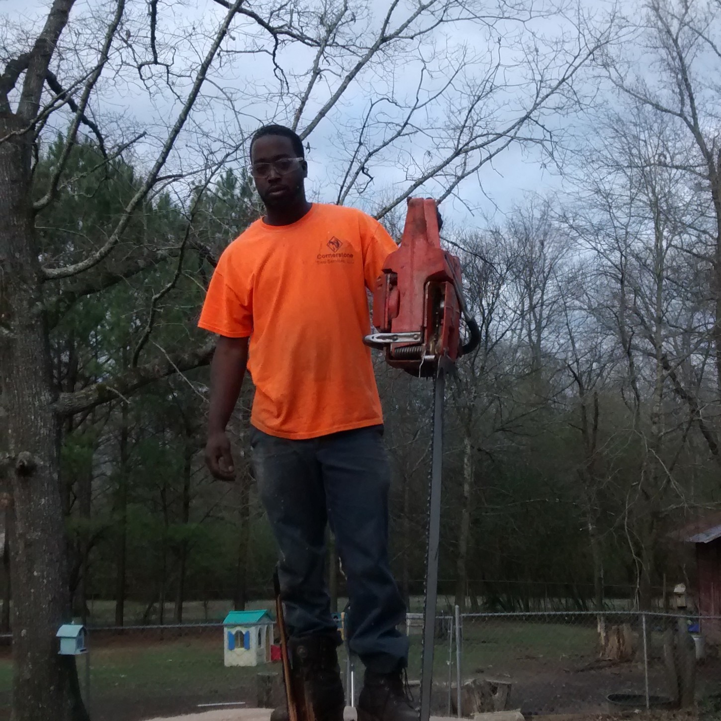 Cornerstone Tree Service LLC logo
