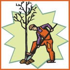 Avatar for Thompsons Tree Climbers, LLC.