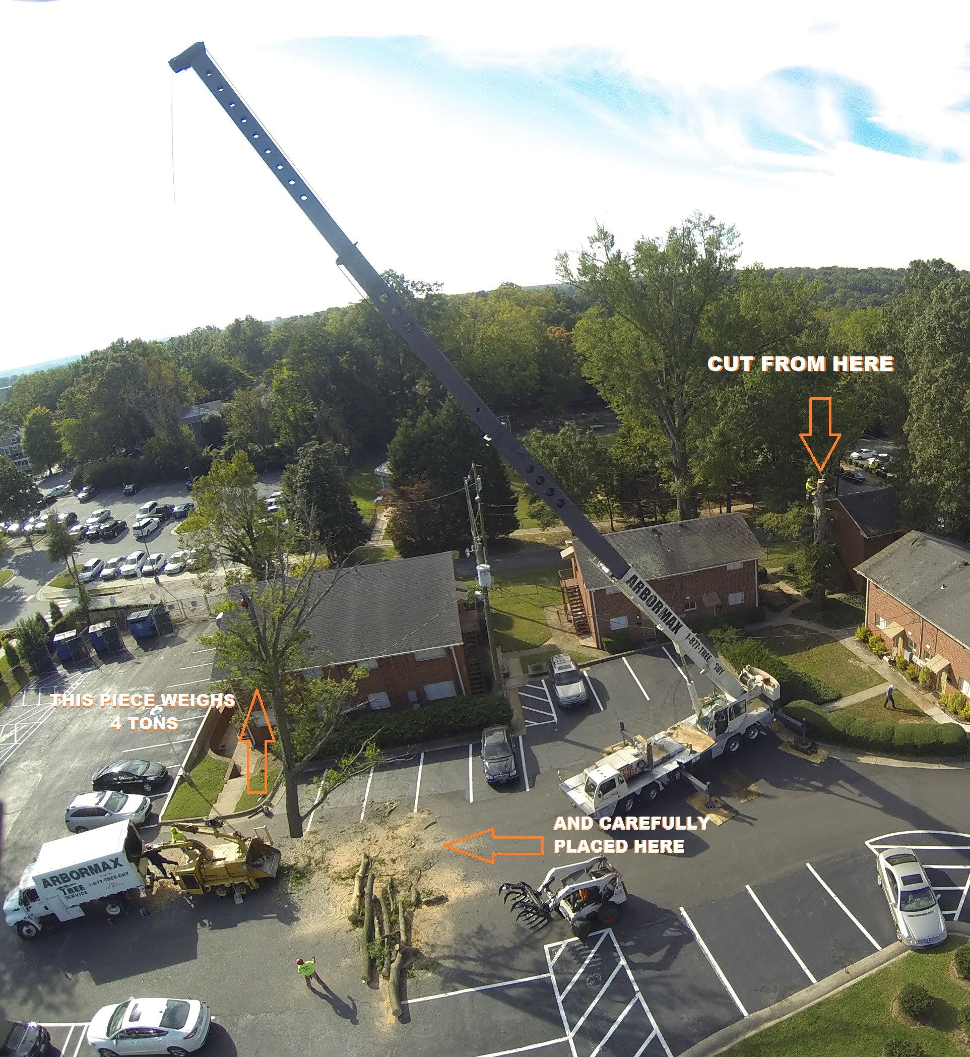 Avatar for Arbormax Tree Service- Greensboro