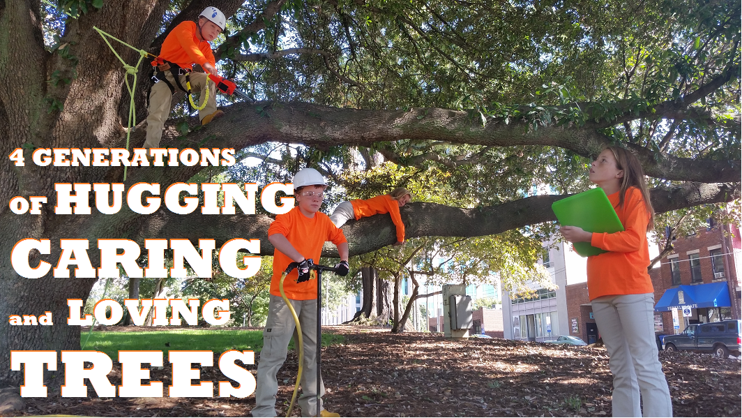 Avatar for Arbormax Tree Service- Greensboro