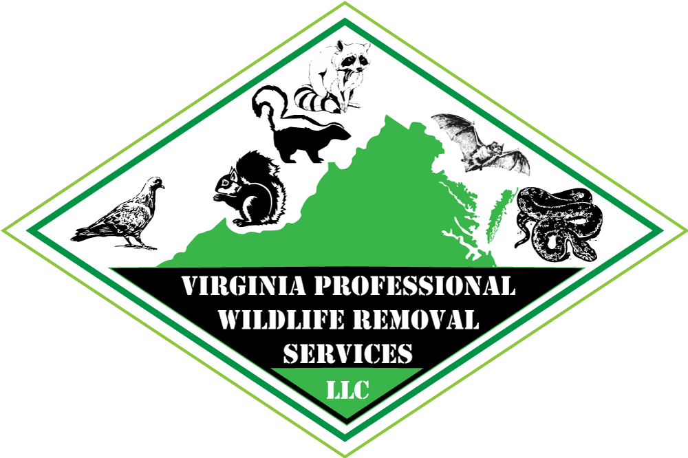 Virginia Professional Wildlife Removal Services logo