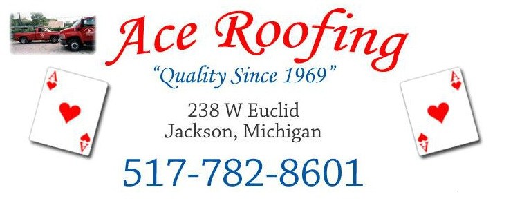 Avatar for Ace Roofing