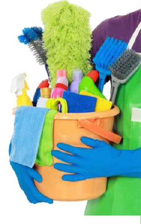Healthy Homes House Cleaning, LLC logo