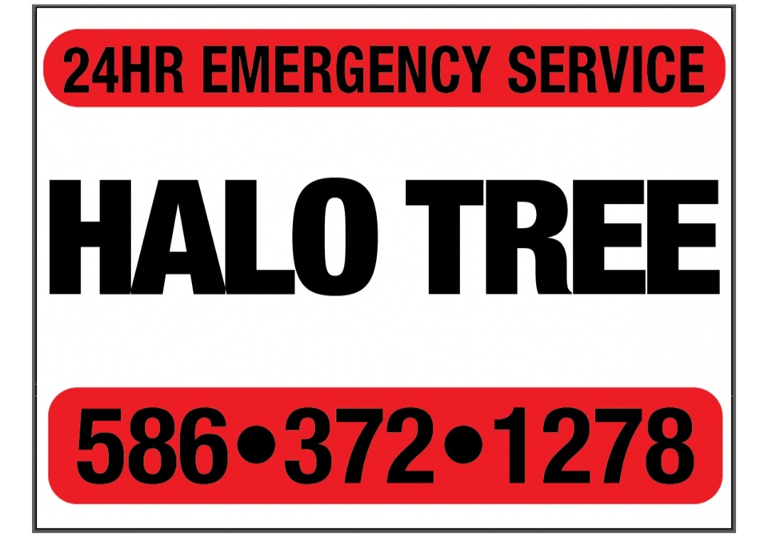 Logo for Halo Tree Service LLC