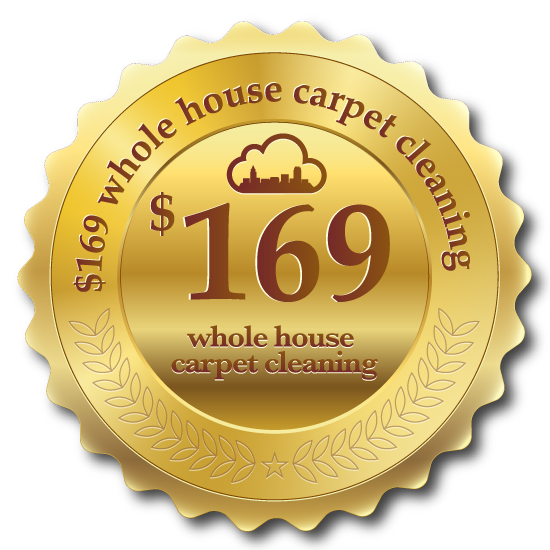 Steam Giant Carpet Cleaning logo