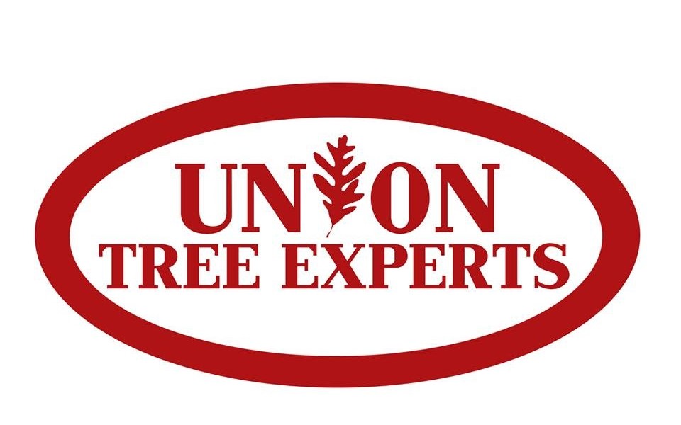Union Tree Experts Inc logo