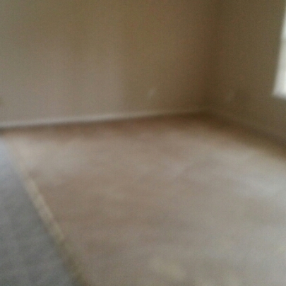All In One Carpet Cleaning logo