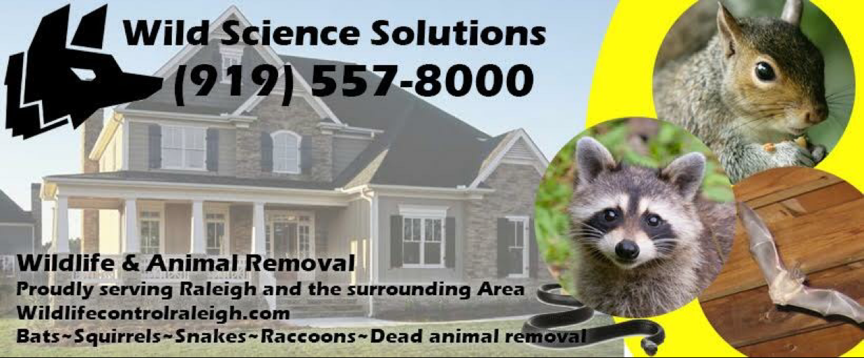 Wild Science Solutions, LLC. logo