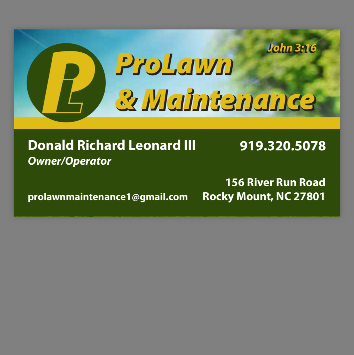 Prolawn & Maintenance logo