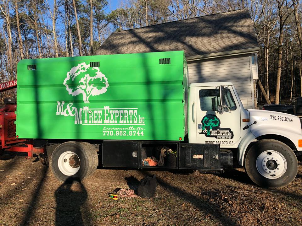 M & M Tree Experts Inc logo
