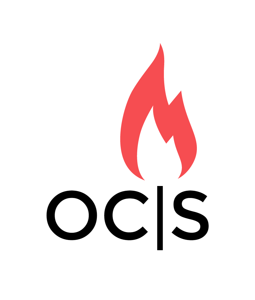 Logo for Original Chimney Sweep