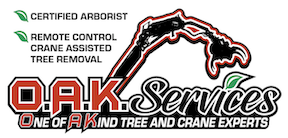 Avatar for O.A.K. Services