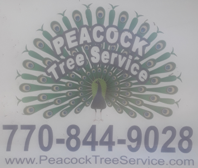 Avatar for Peacock Tree Service