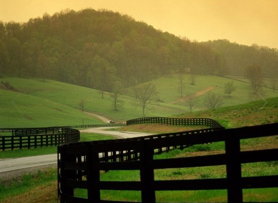 Avatar for BOWERS FENCES