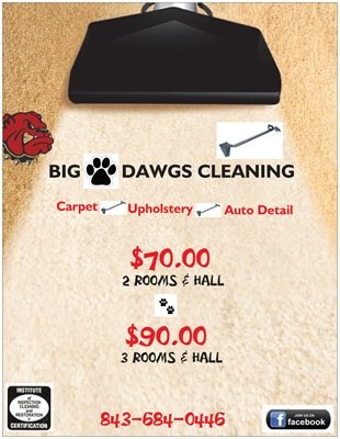Big Dawgs Cleaning/Hydro Pressure Wash logo