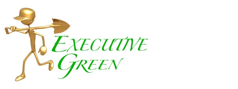 Executive Green logo