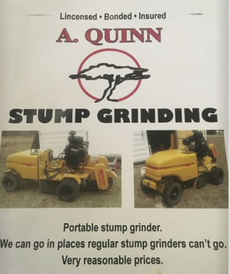 Logo for A. Quinn Tree Experts