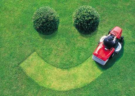 Dan's Mobile Mower Repair logo