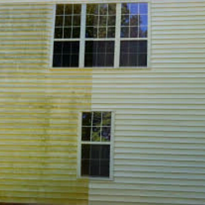 Avatar for Buck's A1 Pressure Washing