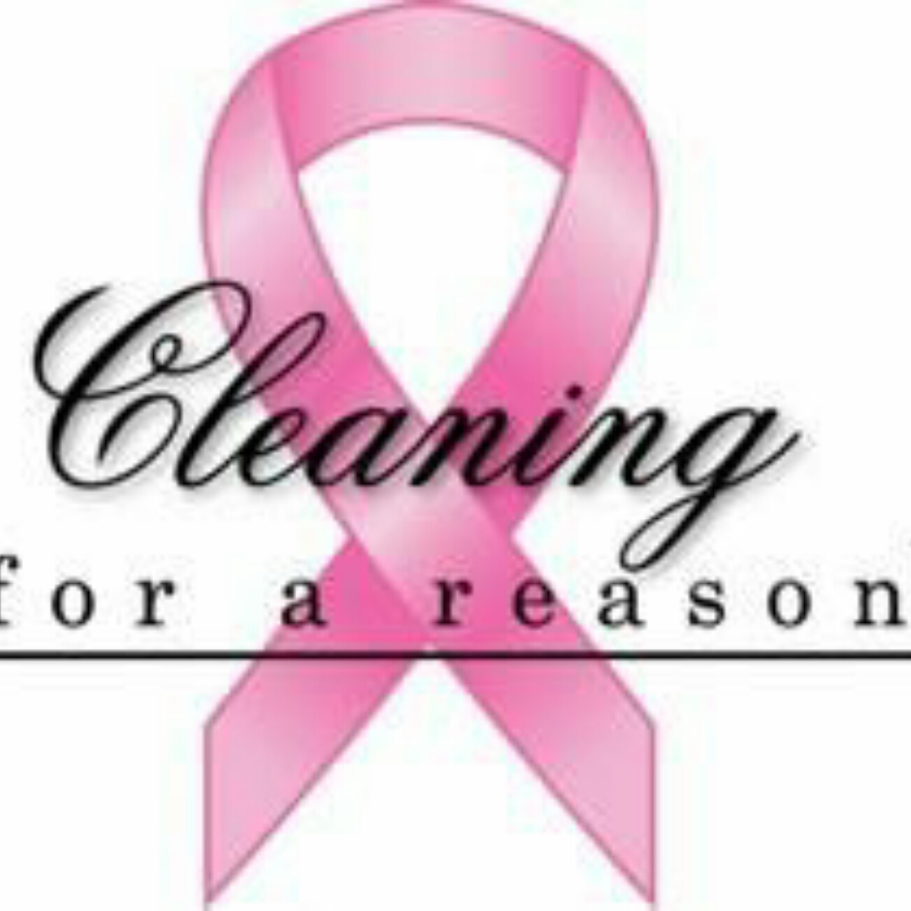 Logo for Two Maids & A Mop
