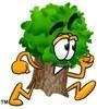 Avatar for KEVIN JARVIS TREE SERVICE