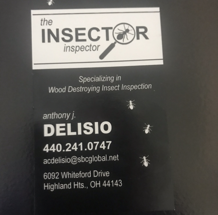 Logo for Insector Inspector