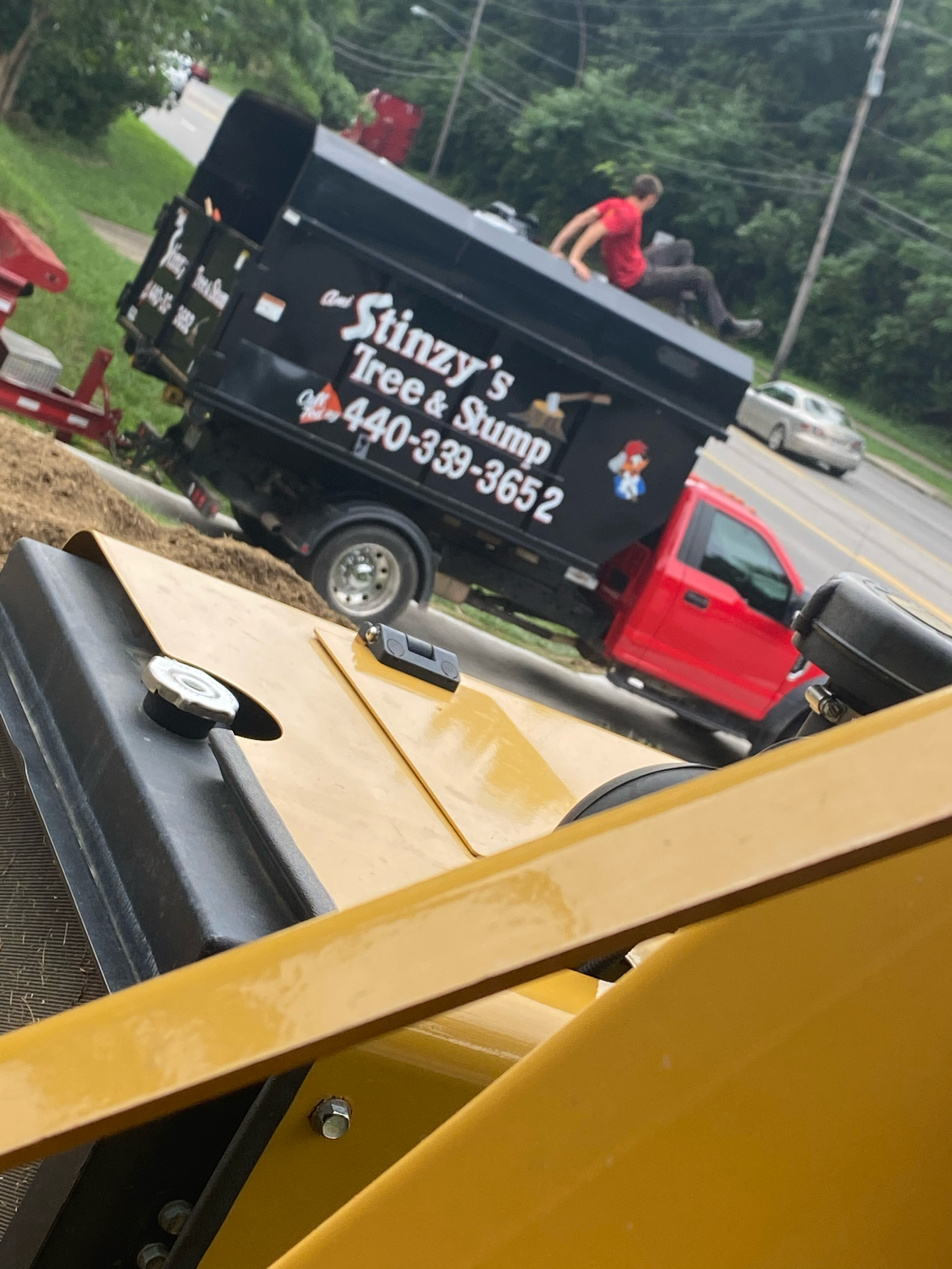 Stinzy's Tree & Stump, Inc. logo