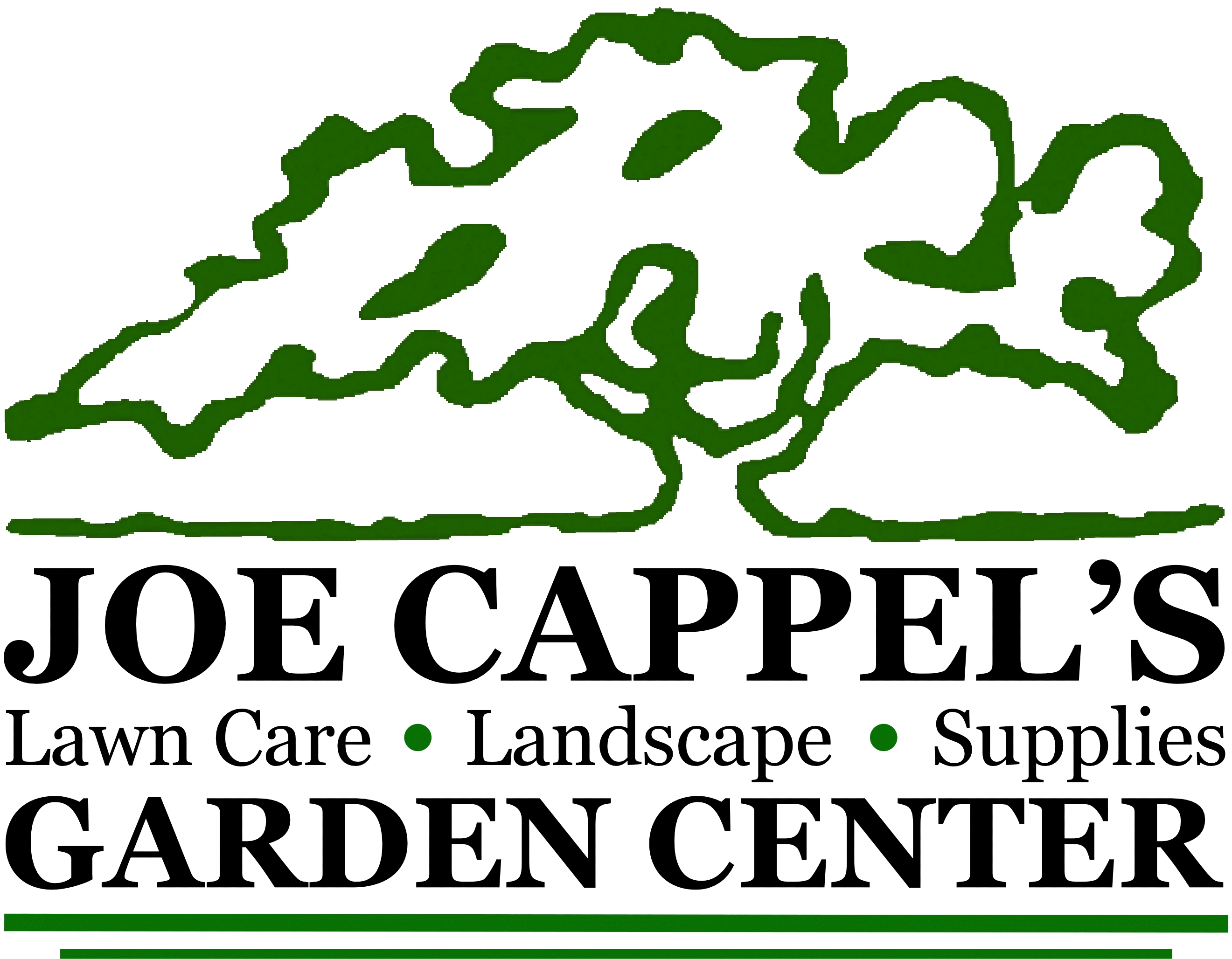 Joe Cappel's Lawn & Landscape, LLC logo