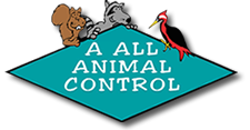 A All Animal Control logo