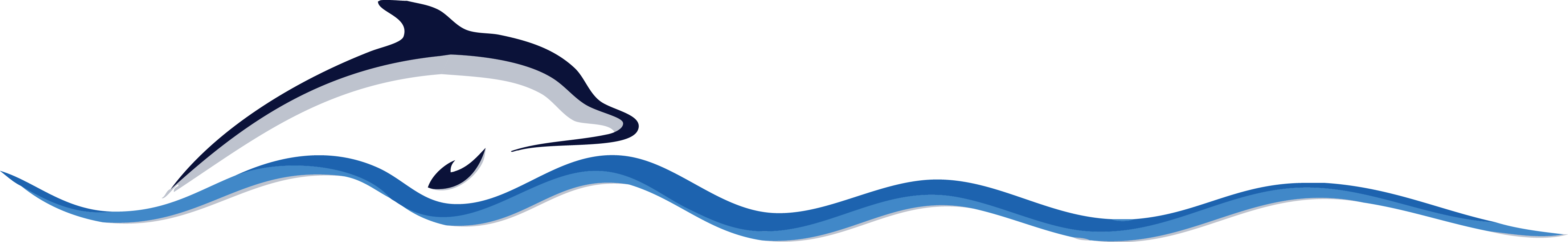 Silver Dolphin Solutions LLC logo