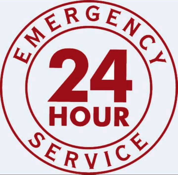 Plumbing & Drain Professionals logo