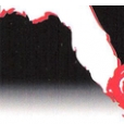 Logo for ALL FLORIDA HURRICANE Inc.