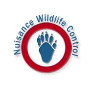Logo for PESKY CRITTERS WILDLIFE CNTRL