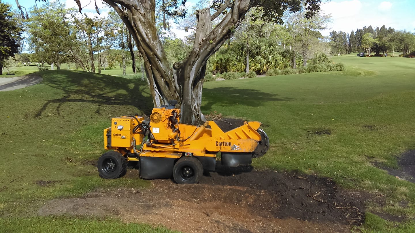 Avatar for Discount Stump Grinding