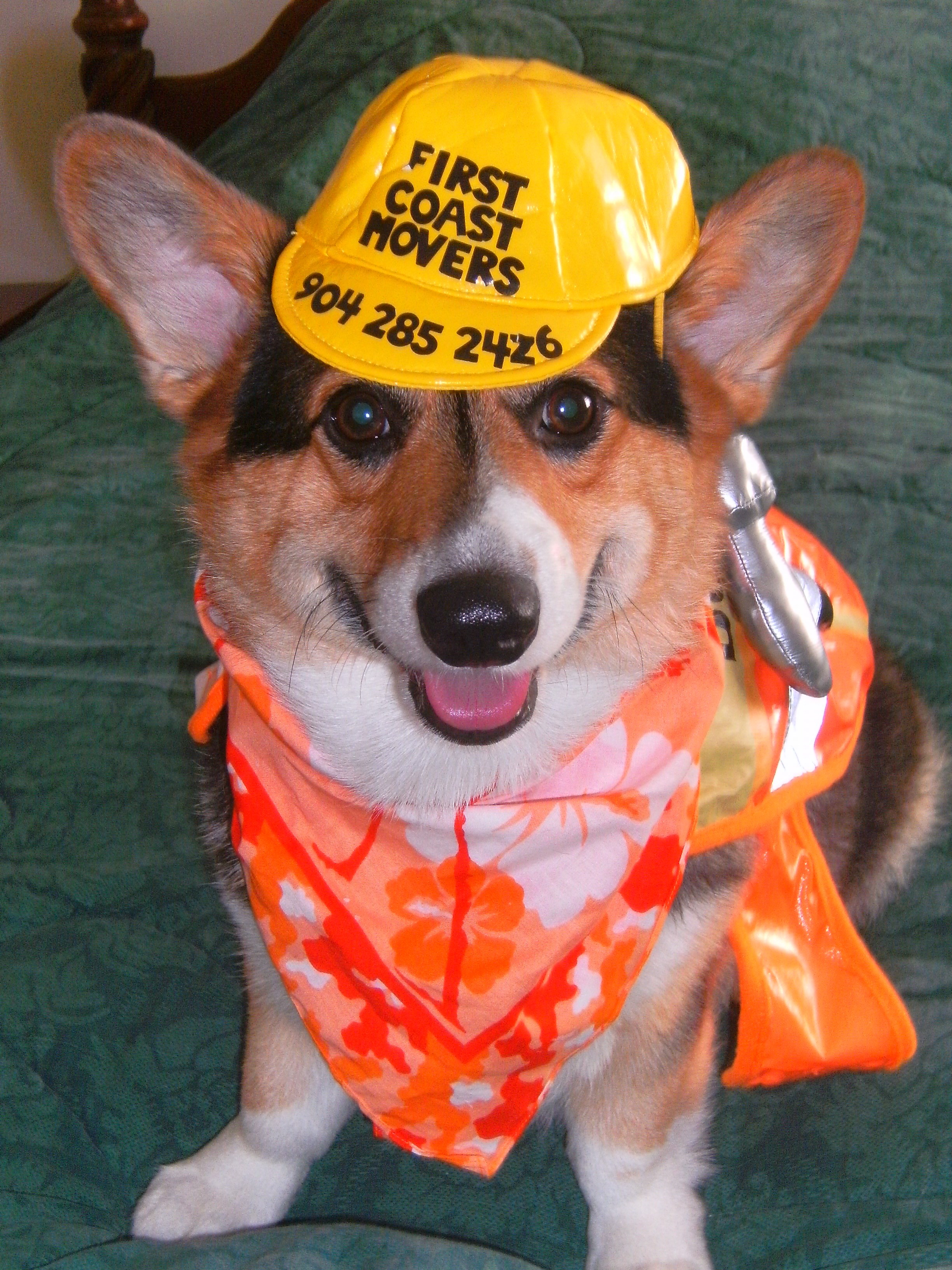 Logo for First Coast Movers Inc